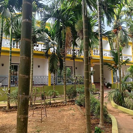 Lavish Exotic Hotel & Apartments Arambol Exteriör bild